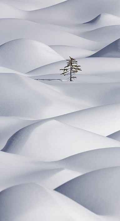 首页- 南宫NG28国际集团官方网站